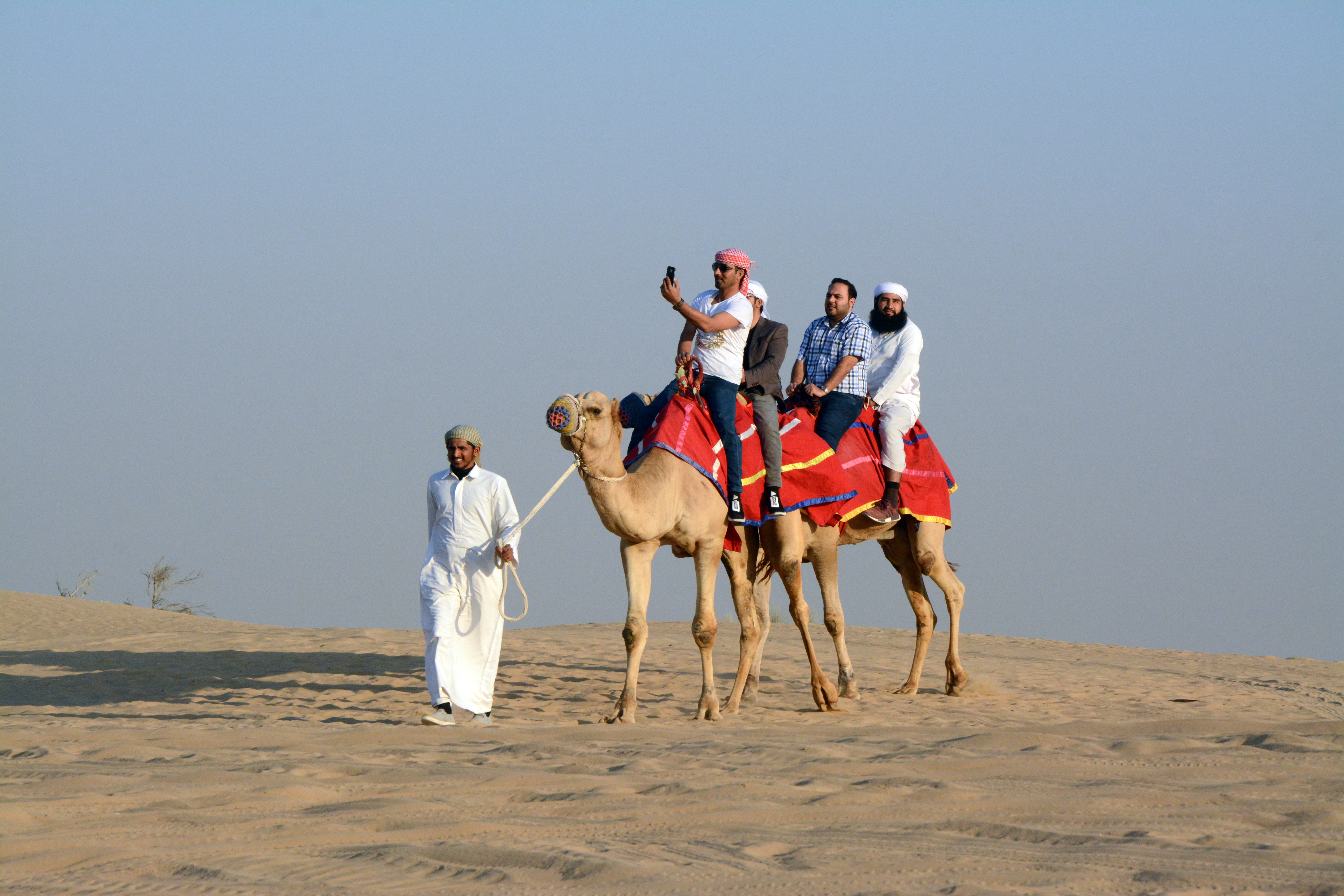 Сафари эмираты. Верблюд сафари Дубай. Dubai Desert Safari Camel riding. Сафари Дубай экскурсия. Ride a Camel.